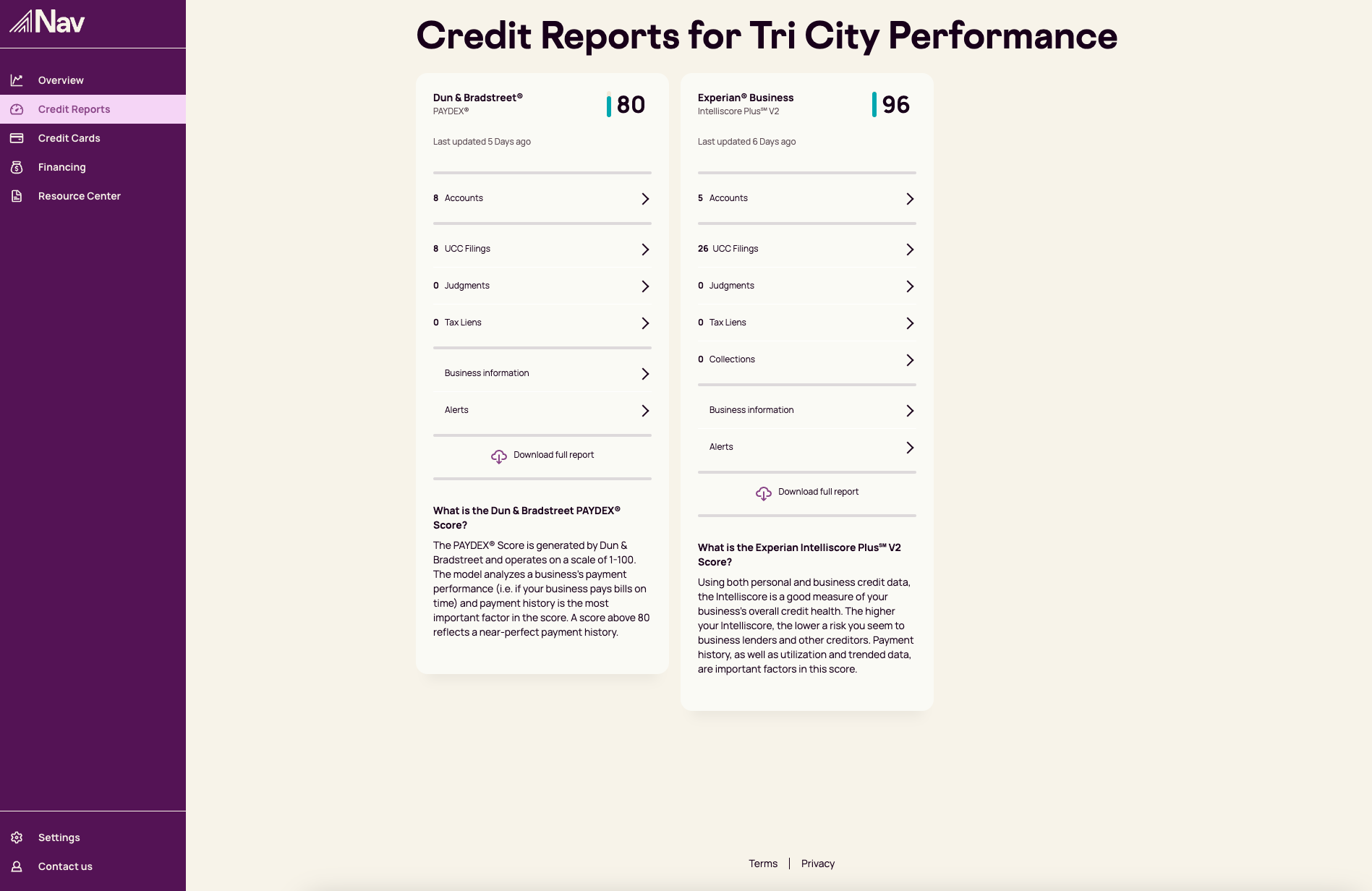Nav Embedded Reports Overview Page An example of Nav's embedded financing application showing the overview page of the credit reports